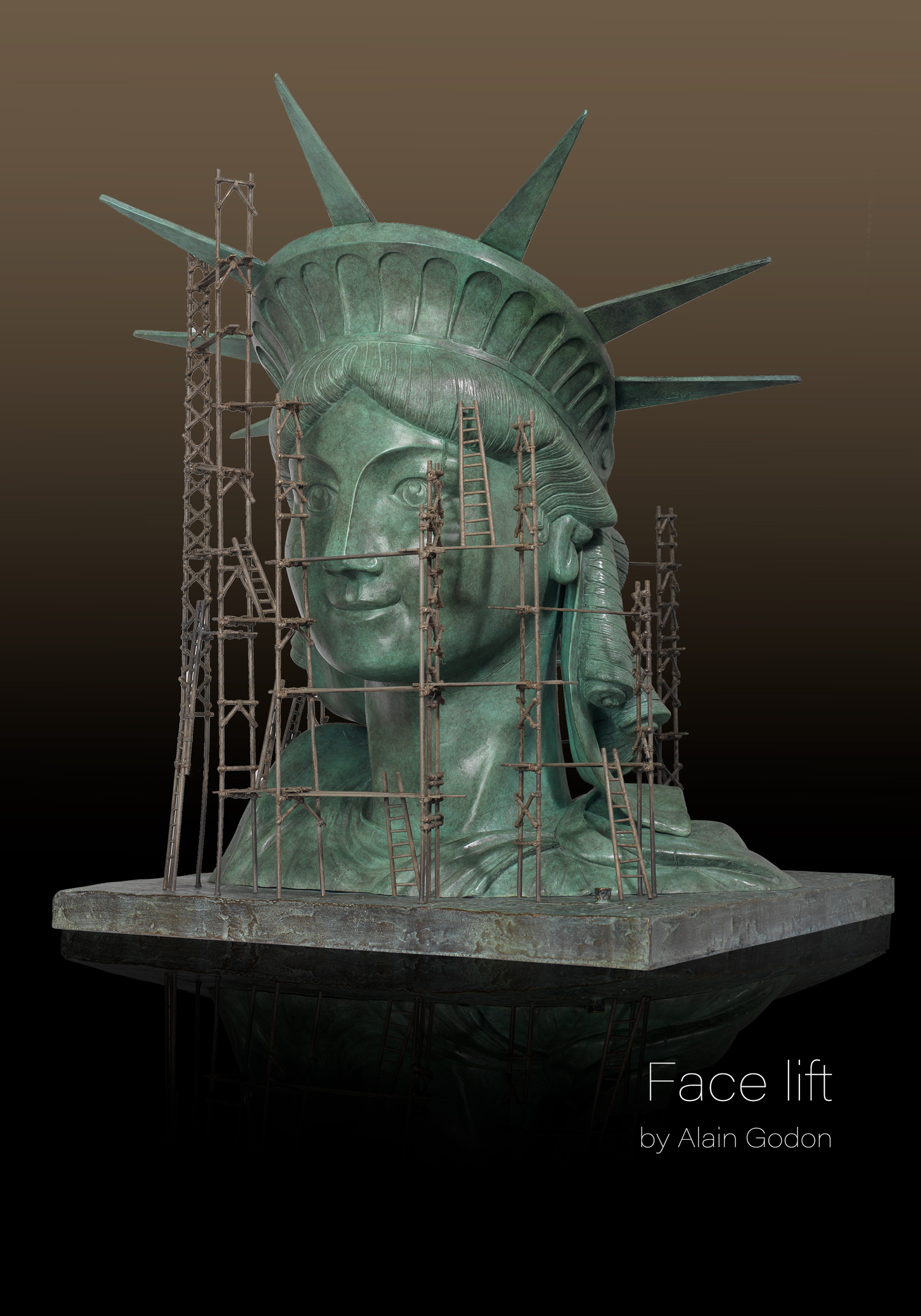 Sculpture - Face Lift