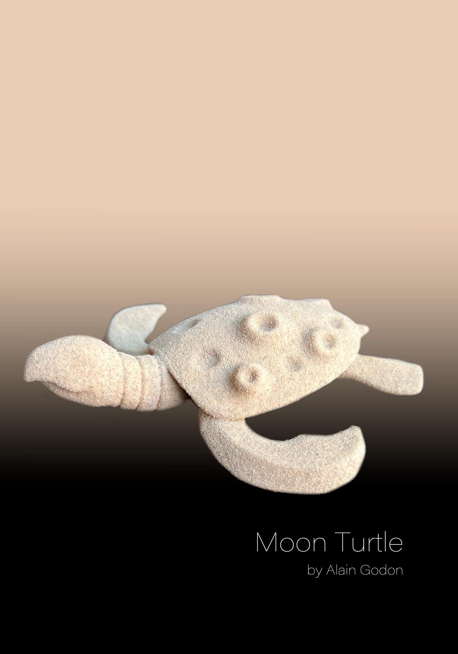 Sculpture - Moon turtle